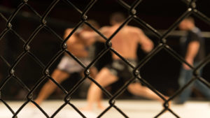 Walka MMA w klatce - mieszane sztuki walki