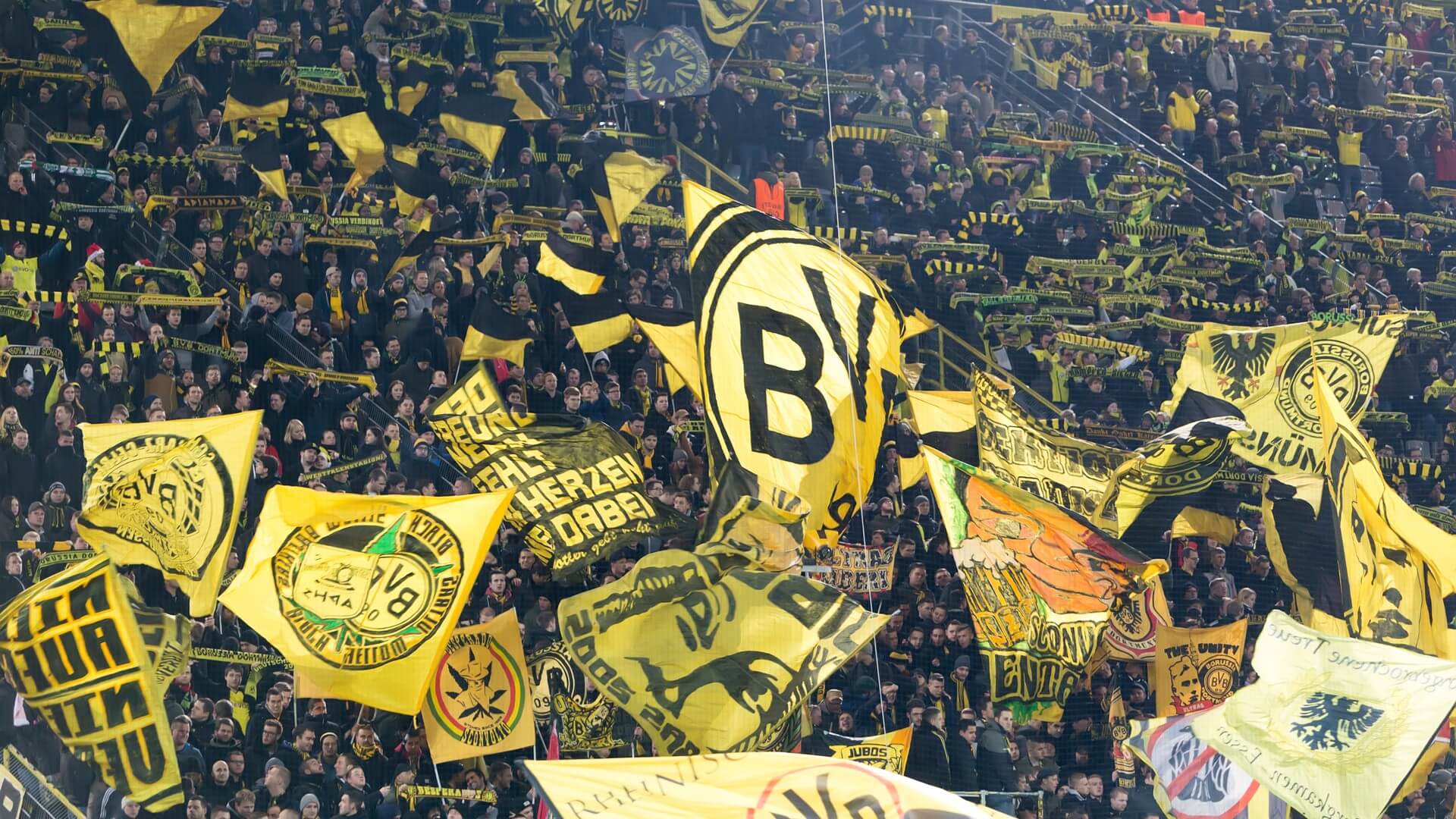 Fani Borussia Dortmund