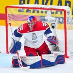 Hrubec Czechy hokej