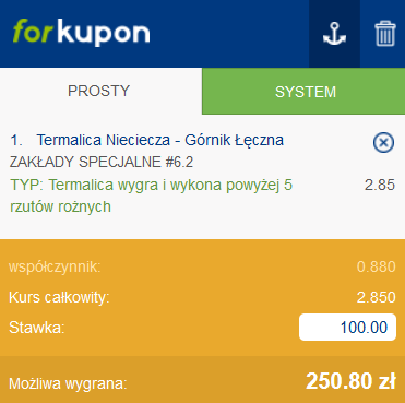 kupon SEO, Termalica - Górnik Łęczna 20.11. Forbet