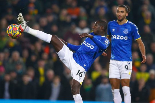 Abdoulaye Doucoure, Everton