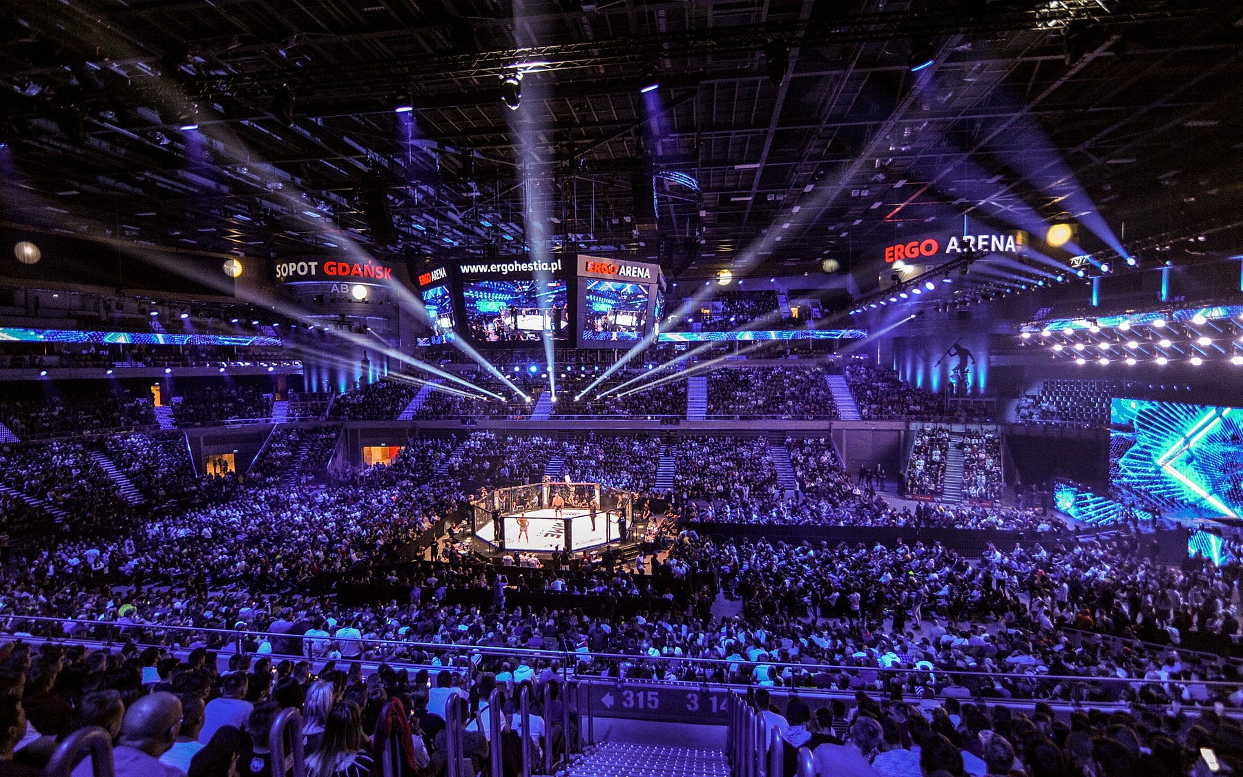 kibice fame mma