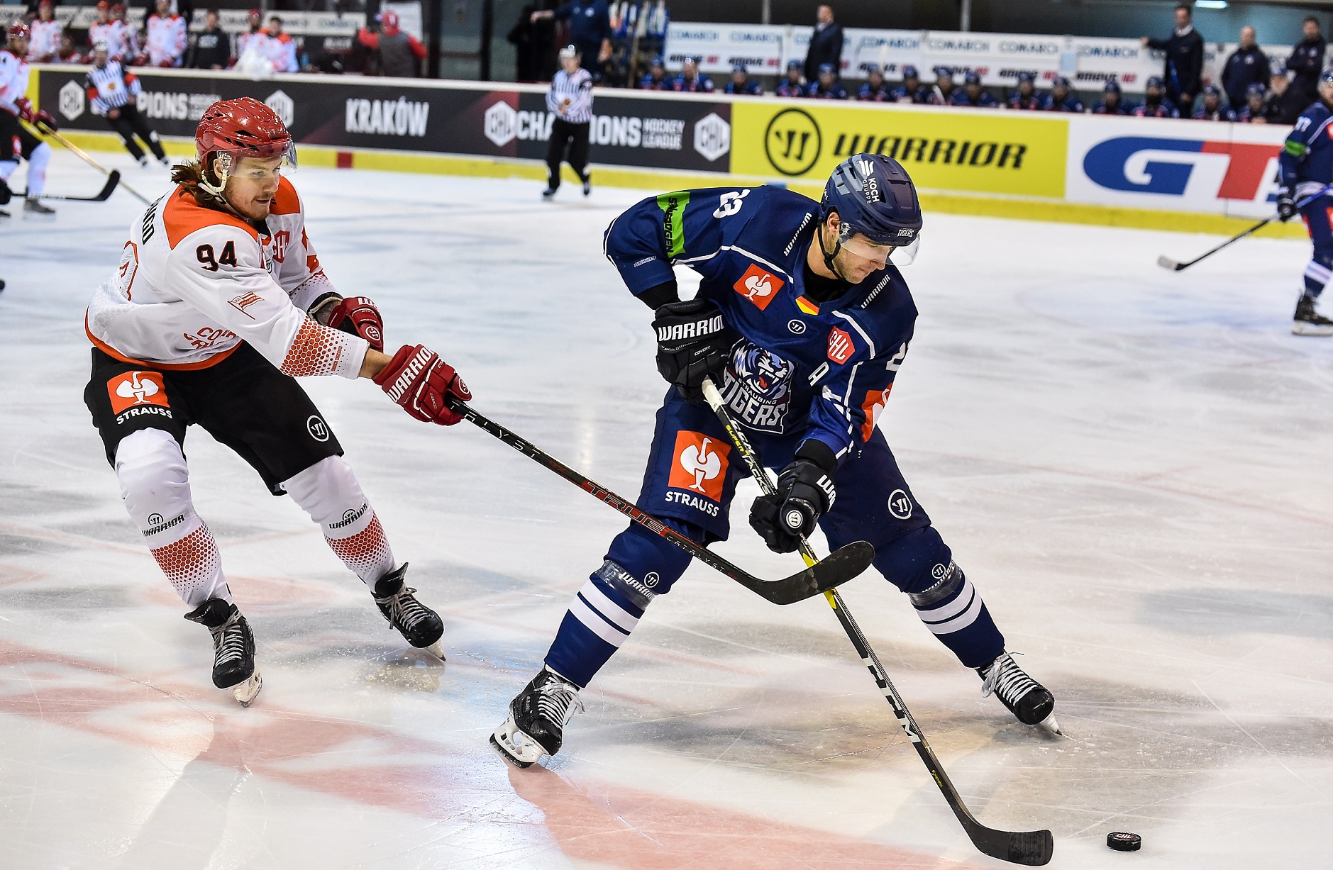 Zawodnik Straubing hokej