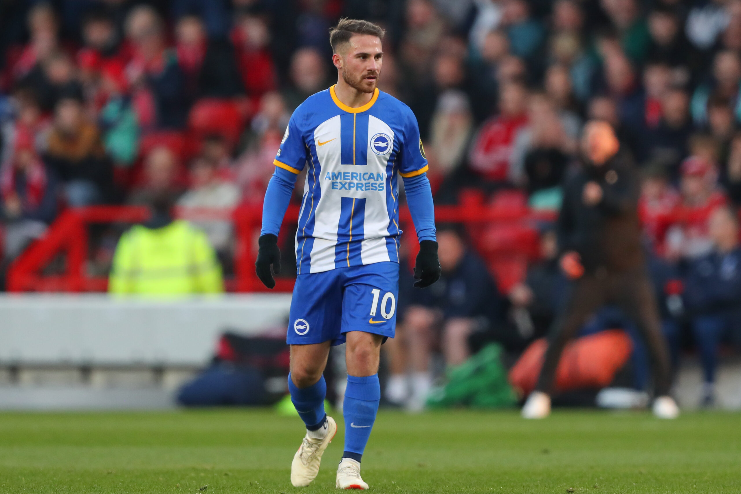 Brighton - Wolves: typy, kursy, zakłady | 29.04.2023 - Zagranie