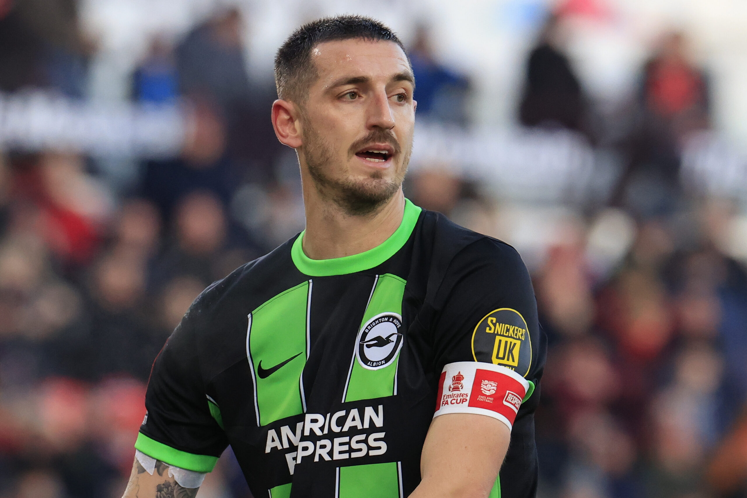 Brighton - Wolves: gdzie oglądać? Transmisja TV i stream online | 22.01 ...