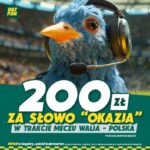 200 zł za słowo Okazja od Szpakowskiego w trakcie meczu Walia - Polska