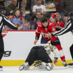 Panthers Bruins walka na pięści