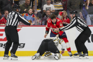 Panthers Bruins walka na pięści