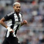 Newcastle - Southampton: typy, kursy, zapowiedź | 17.08.2024