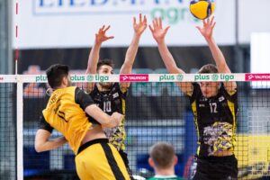 PGE GiEK Skra Bełchatów - Trefl Gdańsk, PlusLiga, siatkówka, Stal Mielec - Grot Budowlani Łódź, TauronLiga