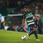 Sporting - Lille: typy, kursy, zapowiedź | 17.09.2024