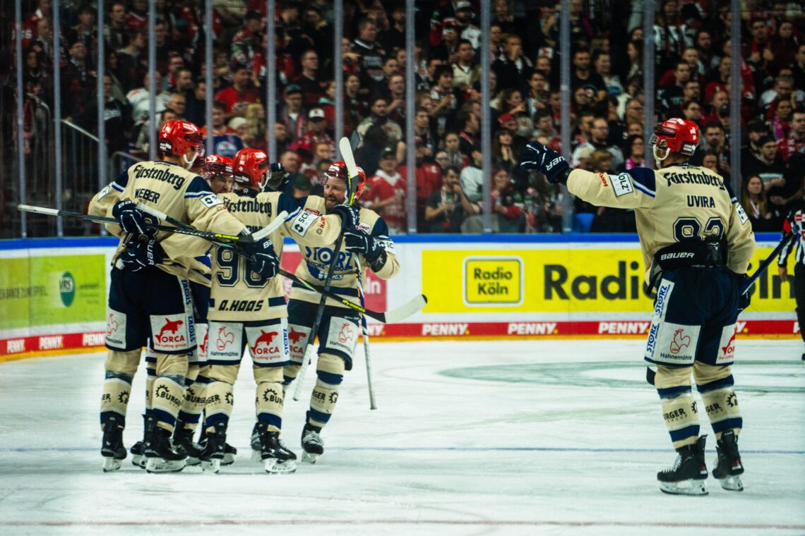 Hokej Wild Wings