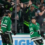 Zaowdnicy i kibice Dallas Stars