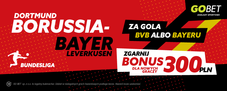 baner na BVB - Bayer