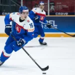 Zawodnik hokeja Dvorsky