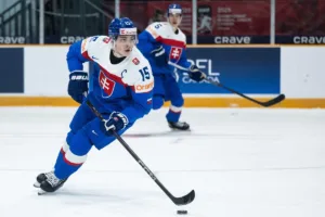 Zawodnik hokeja Dvorsky