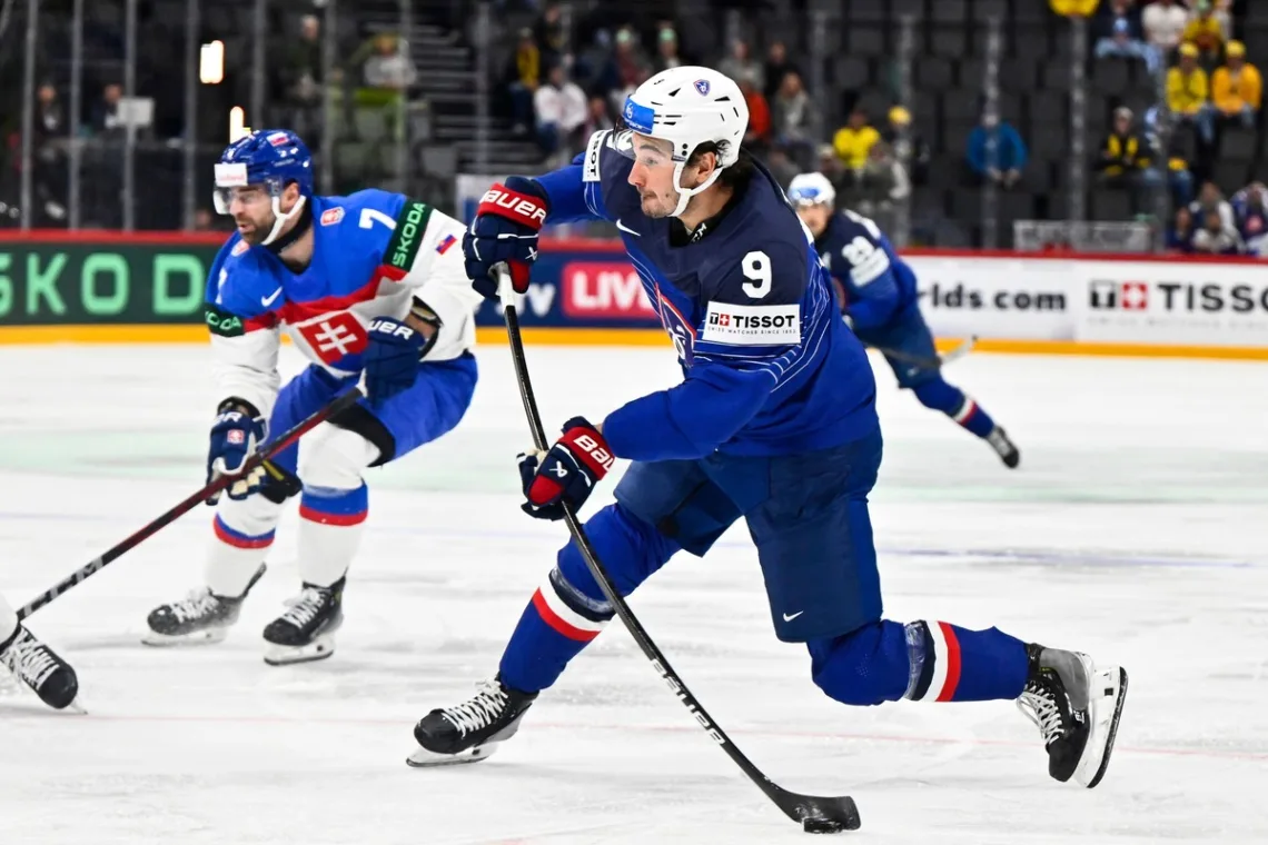 Zawodnik Francja