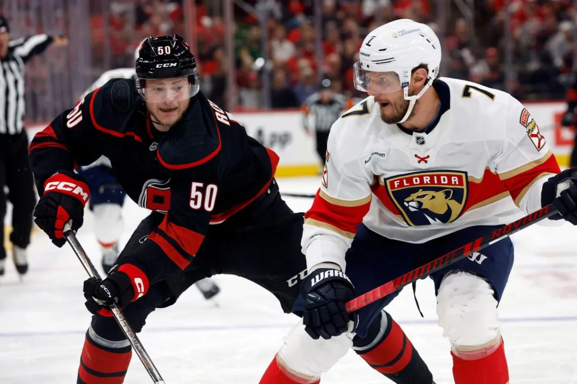 Hurricanes Panthers NHL
