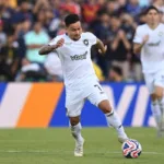 Typy na Palmeiras - Botafogo