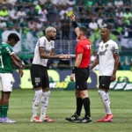 Zawodnicy Palmeiras Botafogo