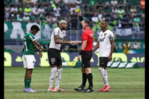 Zawodnicy Palmeiras Botafogo