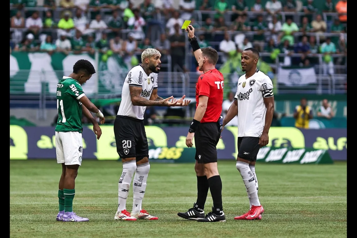 Zawodnicy Palmeiras Botafogo