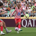 Transmisja Atletico - Botafogo