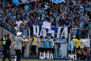 Majowy-pojedynek-ligowy-pomiedzy-Gremio-i-Santos-foto-Alamy-SPP Sport Press Photo.