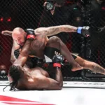 KSW 108 karta walk