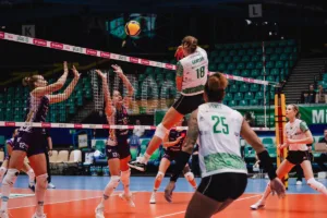 fot-pressfocus-siatkowka-tauron-liga-volley-wroclaw