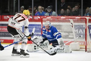 Frankfurt Wild Wings