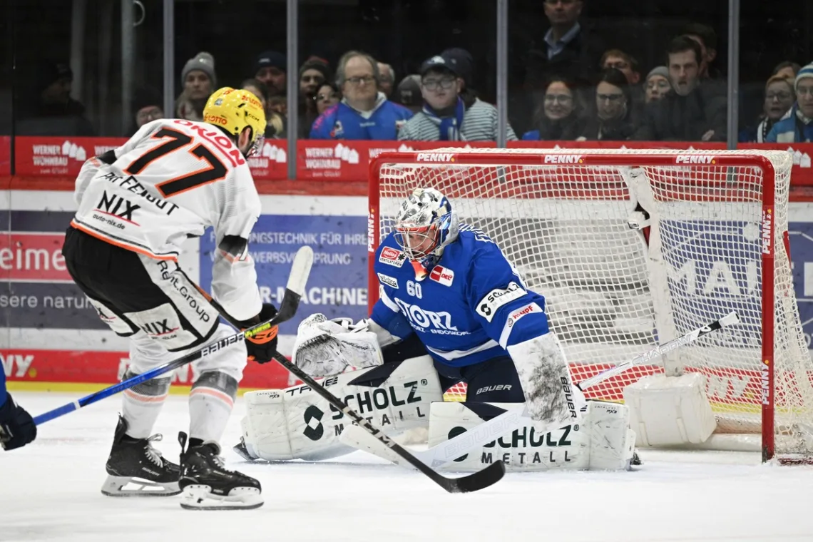 Frankfurt Wild Wings