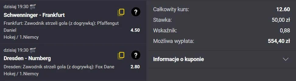 Strzelcy Fortuna hokej