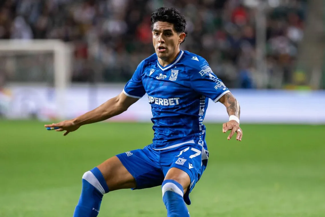 Palma-walczacy-o-pilke