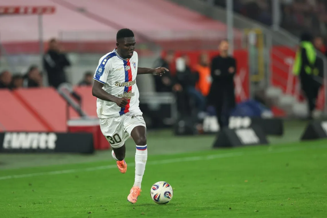 Sow-prowadzacy-pilke