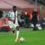 Sow-prowadzacy-pilke