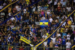 Kibice-Delfinu-2025-Alamy