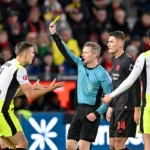 Zawodnicy Bayeru i Borussii