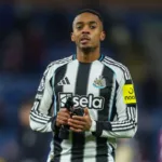 Newcastle - Crystal Palace Typy i kursy. Znów to zrobią