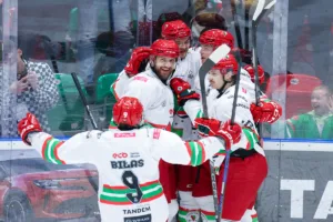 Sosnowiec Zagłębie