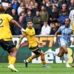 Gracze Wolves podczas meczu