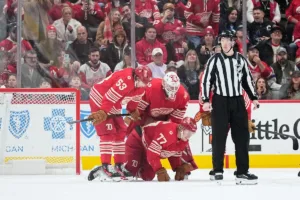 Red Wings nhl