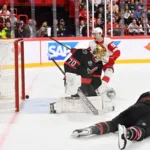 Red Wings Ottawa Senators