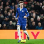 Palmer-prowadzacy-pilke