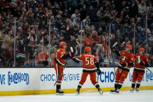 Ducks NHL