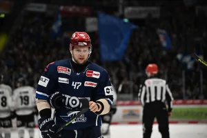 Zawodnik Schwenninger