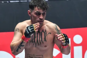 Typy na Wierzejski - Mazan