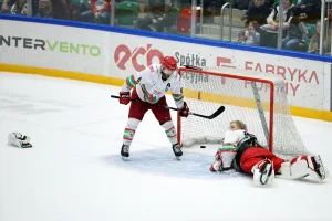 Zagłębie Sosnowiec