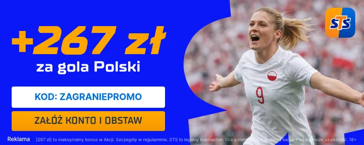 STS baner na Polska - Irlandia (kobiety)