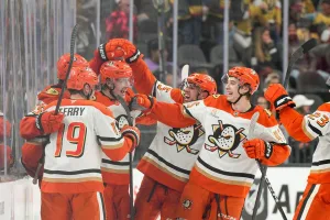 Ducks nhl